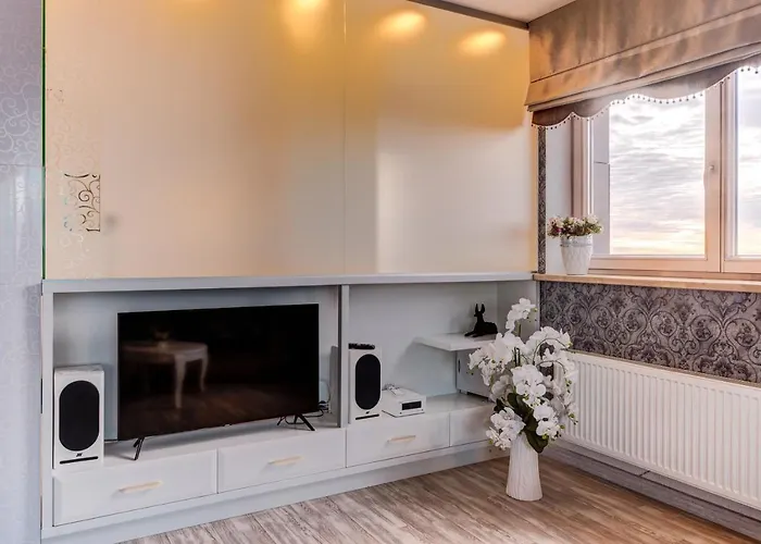 Near Center Appartamento Klaipėda